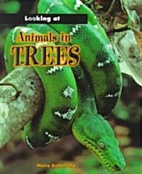 Animals in Trees Sb (Paperback)