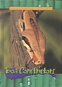 Boa Constrictors (Library)