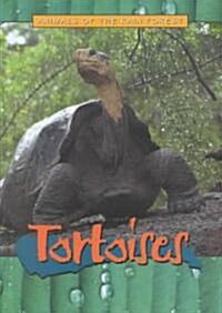 Tortoises (Library Binding)