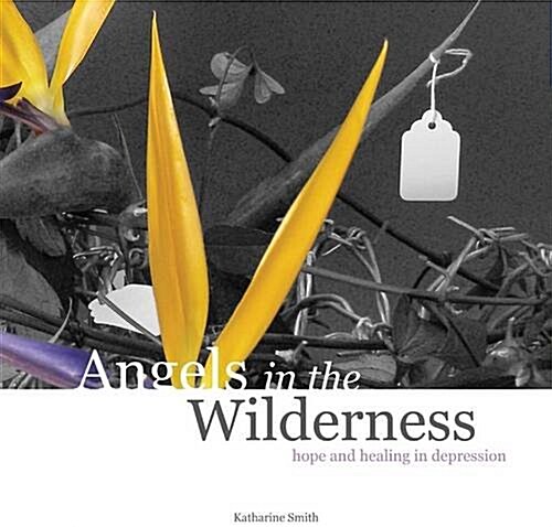 Angels in the Wilderness : Hope and Healing in Depression (Paperback)