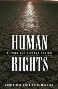 Human rights : beyond the liberal vision