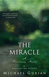 The Miracle: A Visionary Novel (Paperback)