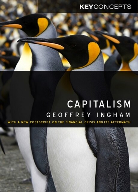 Capitalism : With a New Postscript on the Financial Crisis and Its Aftermath (Paperback)