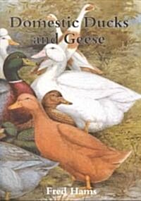 Domestic Ducks and Geese (Paperback)