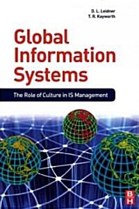 Global Information Systems (Paperback)