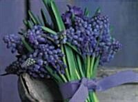 Flower Displays Bumper Card Pack : Grape Hyacinth (Cards)