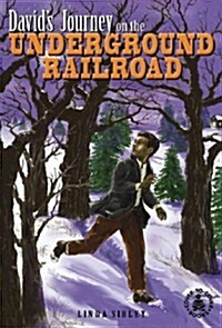 Davids Journey on the Underground Railroad (Hardcover)