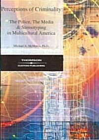 Perceptions of Criminality: The Police, the Media, & Stereotyping in Multicultural America (Paperback)
