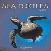 Sea Turtles 2008 Calendar (Paperback, Wall)