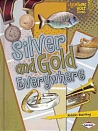 Silver and Gold Everywhere (Library Binding)