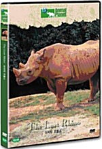 마지막 코뿔소 : 디스커버리 콜렉션