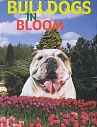 Bulldogs in Bloom (Paperback)