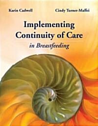 Continuity of Care in Breastfeeding: Best Practices in the Maternity Setting: Best Practices in the Maternity Setting (Paperback)