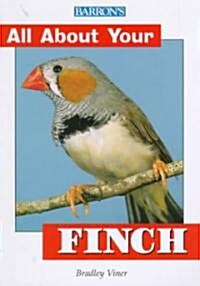 All about Your Finch (Paperback)