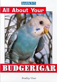 All About Your Budgerigar (Paperback)