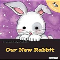 Lets Take Care of Our New Rabbit (Paperback)