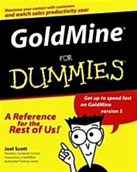 Goldmine for Dummies (Paperback)