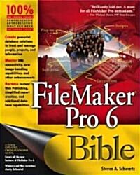 Filemaker Pro 6 Bible (Paperback)