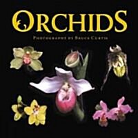 Orchids (Hardcover)