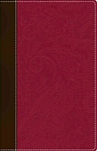 Bible for Women-NIV: Fresh Insights for Thriving in Todays World (Imitation Leather)