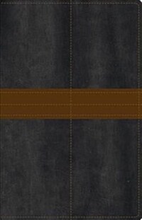 Bible for Men-NIV: Fresh Insights for Thriving in Todays World (Imitation Leather)