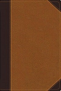 Study Bible-NIV (Imitation Leather)