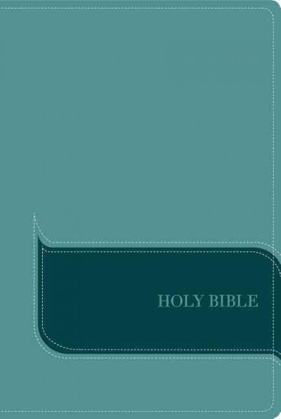 Understand the Faith Study Bible-NIV: Grounding Your Beliefs in the Truth of Scripture (Imitation Leather)