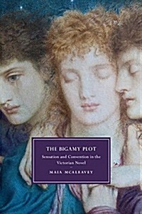 The Bigamy Plot : Sensation and Convention in the Victorian Novel (Hardcover)