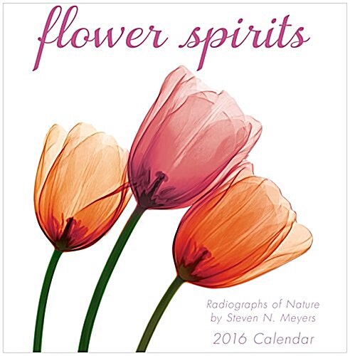 Flower Spirits Calendar (Mini, 2016)