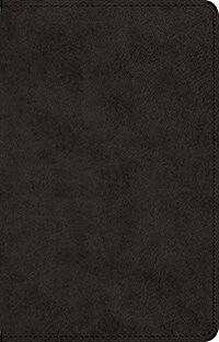 Ultrathin Bible-ESV (Imitation Leather)