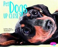 Pet Dogs Up Close (Paperback)