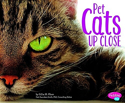 Pet Cats Up Close (Paperback)