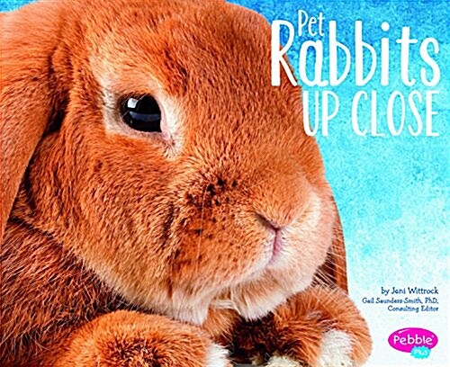 Pet Rabbits Up Close (Paperback)