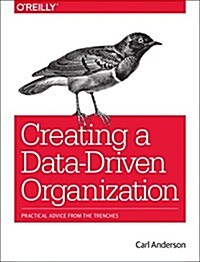 Creating a Data-Driven Organization: Practical Advice from the Trenches (Paperback)
