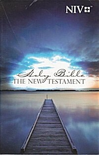 NIV Outreach New Testament (Paperback)