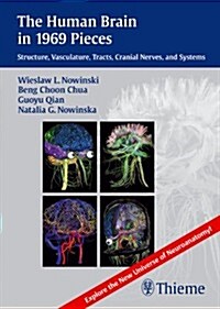 Human Brain in 1969 Pieces: Structure, Vasculature, Tracts, Cranial Nerves and Systems (Audio CD)