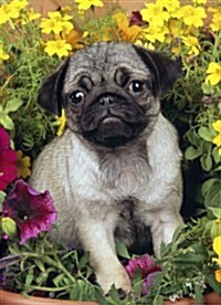 Just Pugs Jigsaw Puzzle (Other)