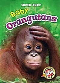 Baby Orangutans (Library Binding)