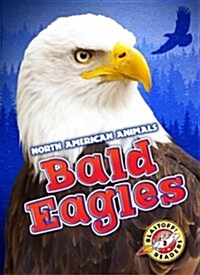 Bald Eagles (Library Binding)