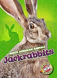 Jackrabbits (Library Binding)