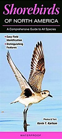 Shorebirds of North America: A Comprehensive Guide to All Species (Paperback)