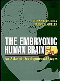 The Embryonic Human Brain (Hardcover)