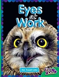 All About Eyes at Work Fast Lane Emerald Non-Fiction (Paperback)