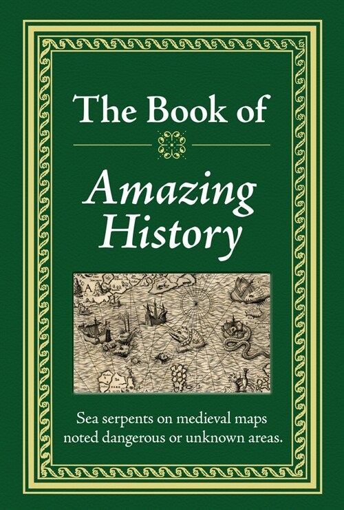 The Book of Amazing History (Hardcover)
