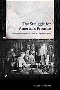 The Struggle for Americas Promise: Equal Opportunity at the Dawn of Corporate Capital (Paperback)