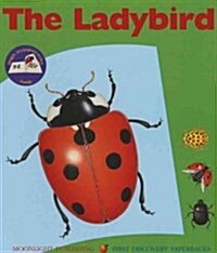 The Ladybird (Paperback)