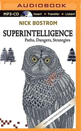 Superintelligence: Paths, Dangers, Strategies (MP3 CD)