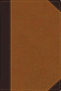 Study Bible-NIV-Large Print (Imitation Leather)