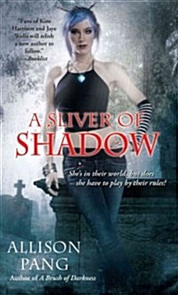 A Sliver of Shadow (Paperback)