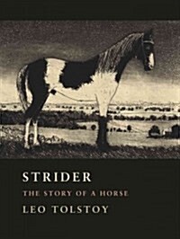 Strider: The Story of a Horse (Hardcover)